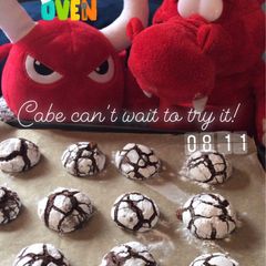A picture of Choco crinkle cookies.