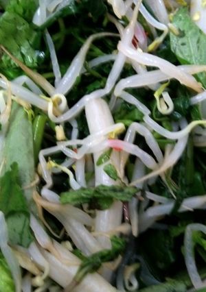 Hình của món Rau muống trộn giá và ngó sen.