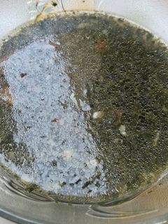 صورة لوصفة الملوخية المصرية