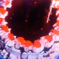A picture of Vanilla buttercream cake.