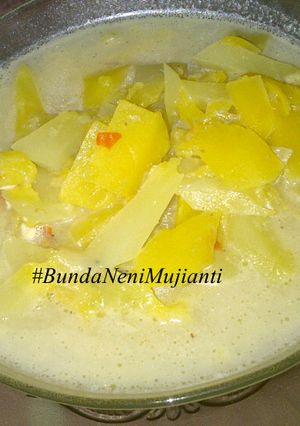 Foto resep Sayur Lodeh Pepaya Muda Sederhana