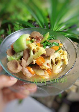Foto resep Capcay berkuah