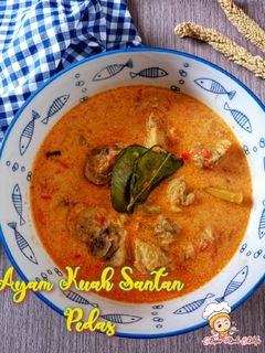 Foto resep 7).Ayam Kuah Santan Pedas (Jangan Pedes Iwak Pitik)