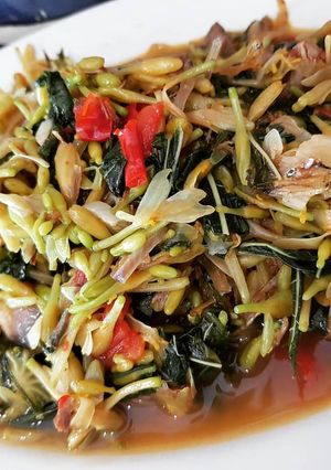 Foto resep Tumis Bunga Pepaya Khas Manado