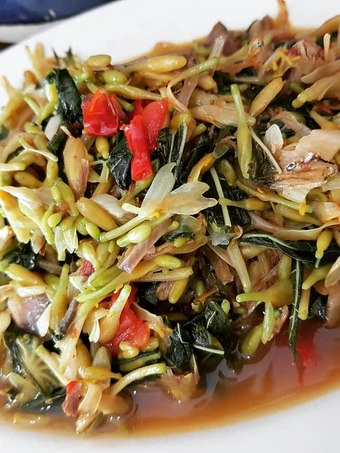 Langkah Gampang Membikin Resep Tumis Bunga Pepaya Khas Manado yang Enak Banget Anti Ribet, Bisa Manjain Lidah