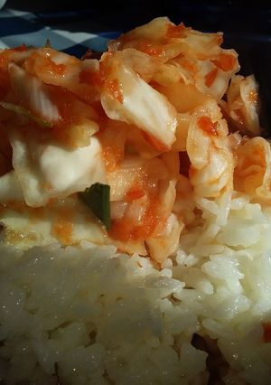 Una foto de Kimchi (김치)