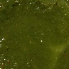 A picture of Coriander Chutney.