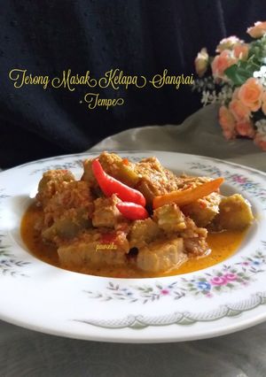 Foto resep 288.Terong Masak Kelapa Sangrai + Tempe