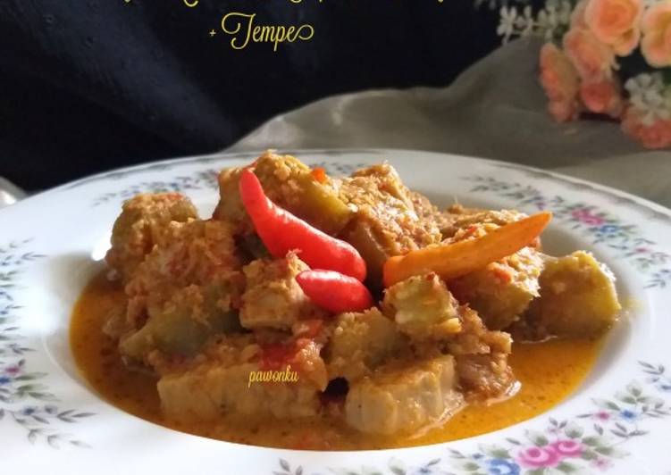 Resep masakan 288.Terong Masak Kelapa Sangrai + Tempe | Resep Membuat 288.Terong Masak Kelapa Sangrai + Tempe Yang Lezat