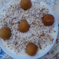 A picture of Yummy ferni.