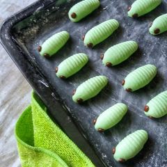 A picture of Caterpillar Cookies.