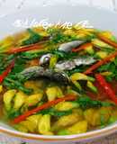 Canh chua cá linh bông điên điển