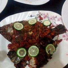 A picture of Fish.