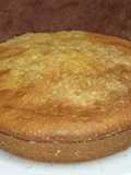 Torta fácil de mandarina a la licuadora