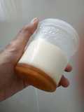 Japanese mild puding