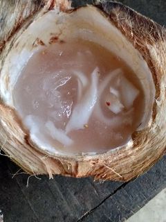 Foto resep Es rujak kelapa muda