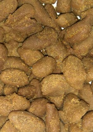 Foto resep Biji Ketapang coklat