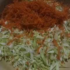 A picture of Cabbage and Carrots.