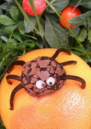 Foto di Ragnetti cioccolatosi🕷