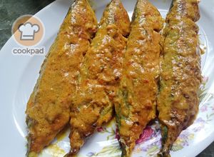 Gambar Ikan Kembong Percik