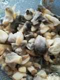 Empanadas de cuitlacoche. ॐ