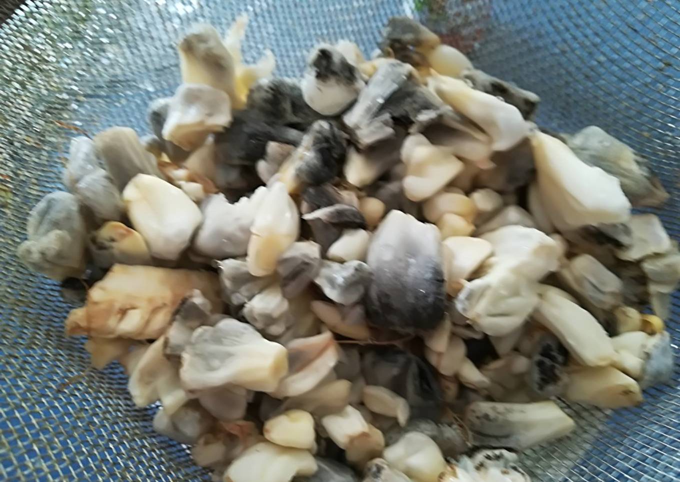 Empanadas de cuitlacoche. ॐ