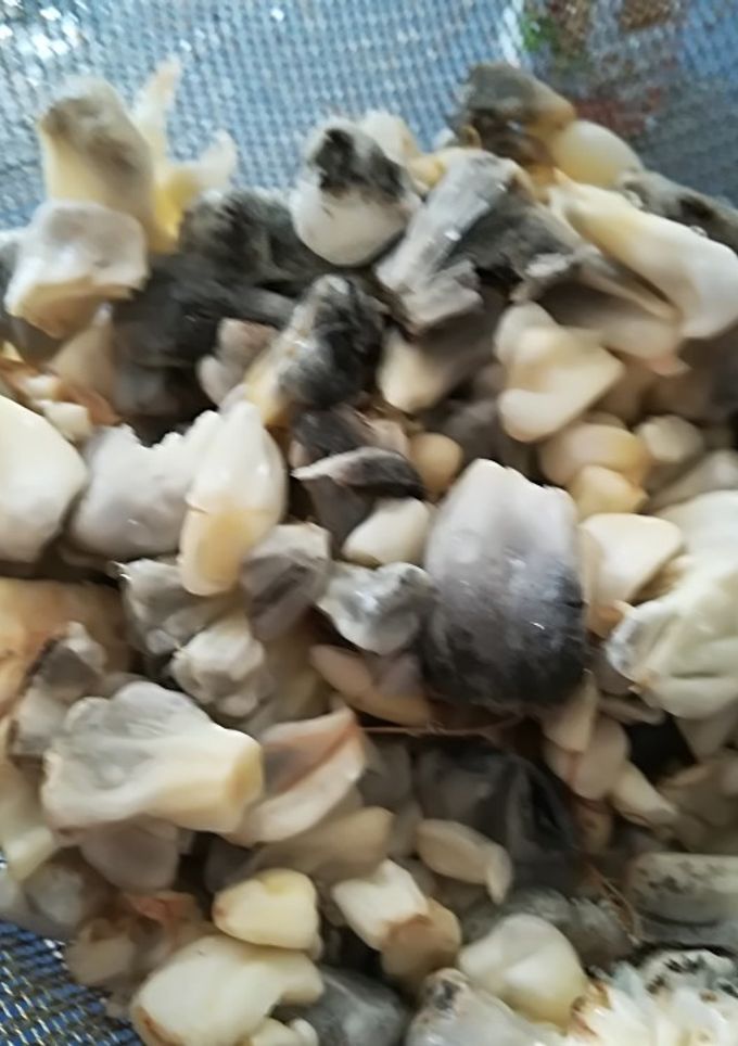 Una foto de Empanadas de cuitlacoche. ॐ