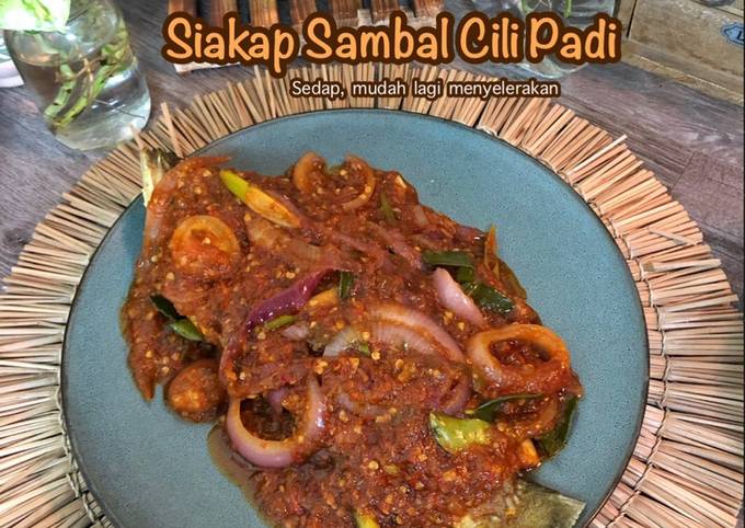 Resipi Siakap Sambal Cili Padi Oleh Salina Jalaludin Cookpad