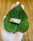 Thịt nướng Hàn