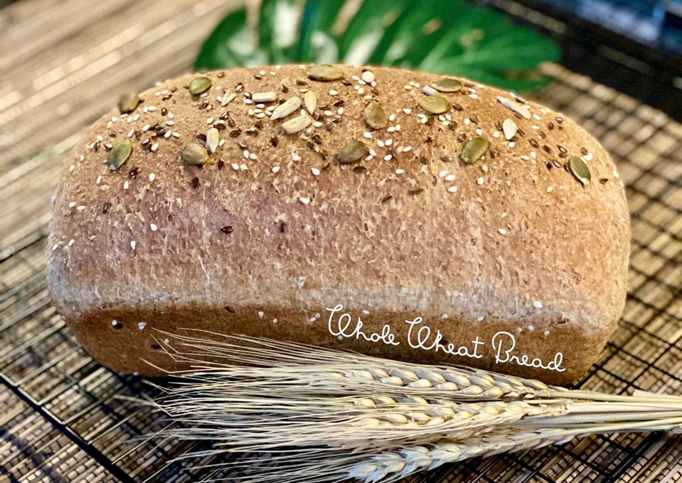 Whole Wheat Bread