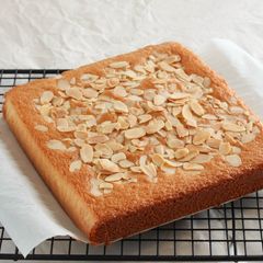 A picture of Sponge Cake.