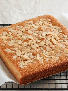A picture of Sponge Cake.