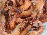 lemon grilled shrimp
