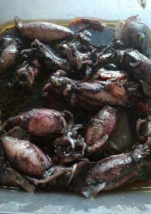Foto resep Cumi Basah Tumis Hitam