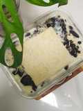 Setup roti tawar oreo
