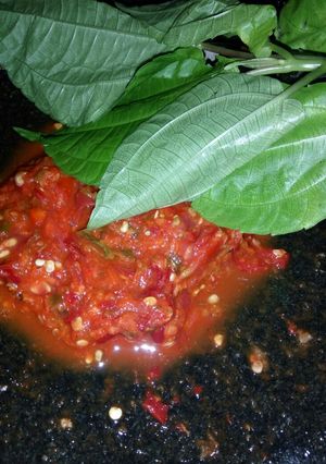 Foto resep Sambal kencur