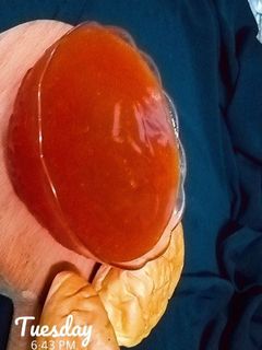 صورة لوصفة مربى التين الشوكي (الصبر)