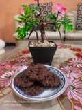 Oat Cookies takaran sendok