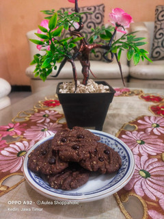 Foto resep Oat Cookies takaran sendok