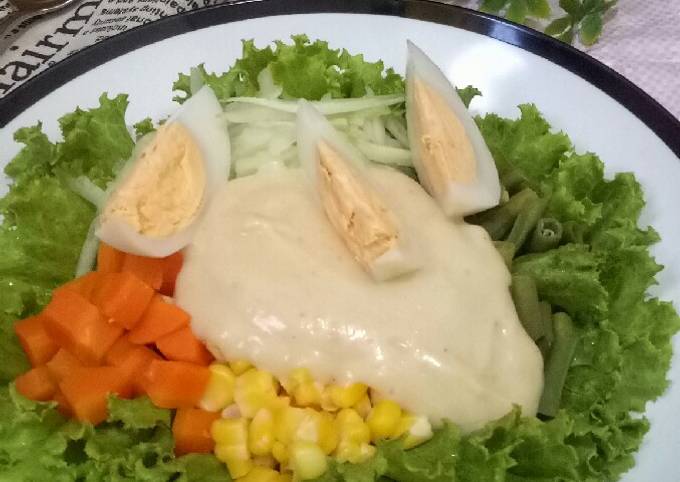 Salad Sayuran