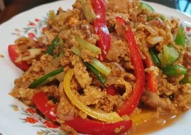 ไก่ผัดผงกะหรี่