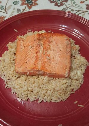 A picture of Mantastic Wild Alaskan Salmon and Brown Rice.