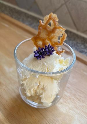 A picture of No-churn goats cheese, lavender and honey ice cream.
