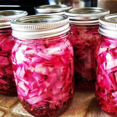A picture of Pickled cabbage.