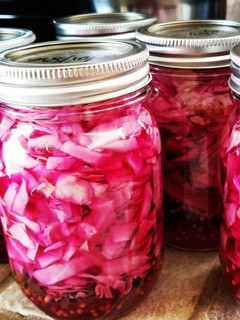 A picture of Pickled cabbage.