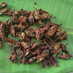 A picture of Crispy kurkure Lady's Finger.