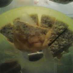 รูปของ Puding Lumut GulJaw Nangka