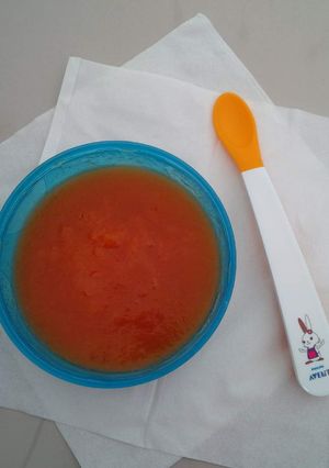Foto resep Mpasi bayi 6 bulan puree / bubur pepaya