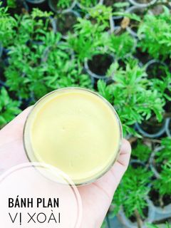 Hình của món Ăn dặm - Bánh plan vị xoài.