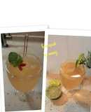 Lime squash segar